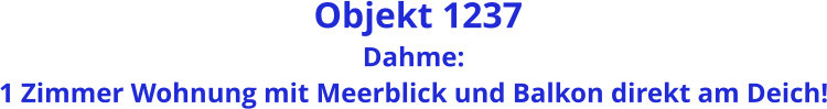Objekt 1237 Dahme: 1 Zimmer Wohnung mit Meerblick und Balkon direkt am Deich!